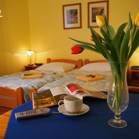 住宿加早餐酒店 Olimp Retro